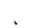 Bug