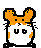 Hamster1