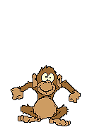 Monkey1