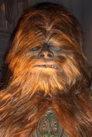 Wookie4
