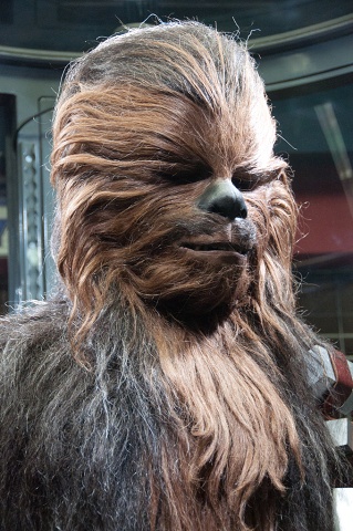 Wookie 1